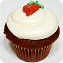 Cupcake Recipes+