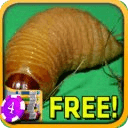 Larva Slots - Free