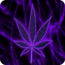 Purple Pot Leaf Keyboard Free