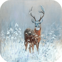 Deer 3D Hunter