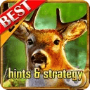Deer Hunter 2014 Hints