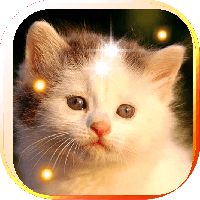 Plush Kitty HD Live Wallpaper