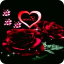 Loving Roses Live Wallpaper