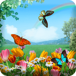 Summer Butterflies HD