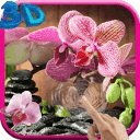 Pink Orchid Live Wallpaper