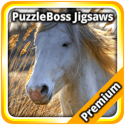 Horse Jigsaw Puzzles FREE