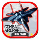 Puzzle of combat aircraft