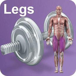 Daily Legs Video Trainer