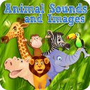 Animal Sounds and Zoo Photos
