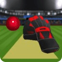 TapCatch Cricket game