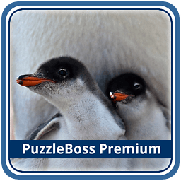 Penguin Jigsaw Puzzles FREE