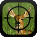 Deer Challenge