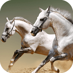 Horse Racing Free Games