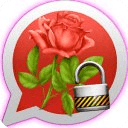 Flower Rose Lock Whats App