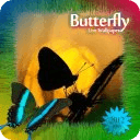 Butterfly Photo Live Wallpaper