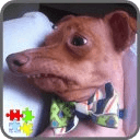 Tuna The Dog Puzzle Games