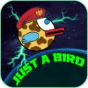 Just a Bird