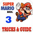 New Super Mario Bros 3