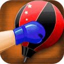Boxing Trainer