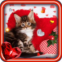 Valentine Kitties 2014 HQ LWP