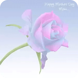 Special Mothers Day