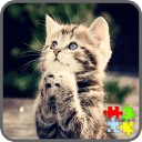 Cats Puzzle Games