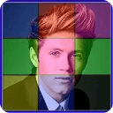 Niall Horan Puzzle Game