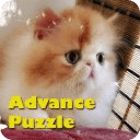 Talking Cat Puzzle Advance