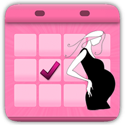 Pregnancy Calendar