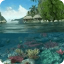 Tropical Sea 3D Live Wallpaper