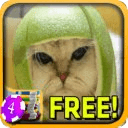 3D Lime Cat Slots - Free