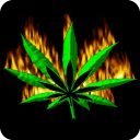 Weed Flaming Live Wallpaper