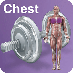 Daily Chest Video Workouts