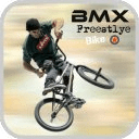 Freestyle BMX Bike