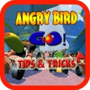 TIPS ANGRY BIRD GUIDE