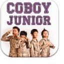 coboy junior puzzle game