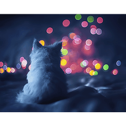 Kitten Galaxy Note2 LWP 5