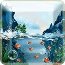 Real Koi Free Live Wallpape