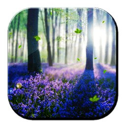 Forest Lavender HD LWP App