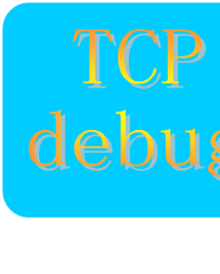 TCP/UDP调试