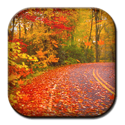 Autumn HD 3D Live Wallpaper