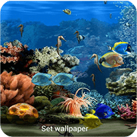 Coral Reef Cool Livewallpaper
