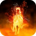 Fire Horse 3D Video Wallpaper