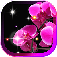 Diamond Orchide live wallpaper