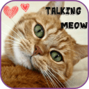 My Talking Meow