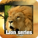 Lion Savanna HD LiveWallpaper