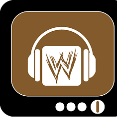 WWE Theme Songs