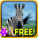 Lonely Zebra Slots - Free