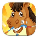 Horse Dentist