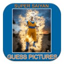 Super Saiyan Guess Pictures